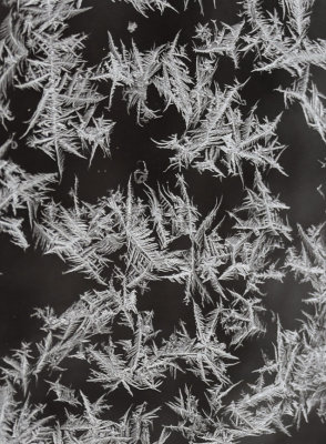 Tundra Train - ice crystals on train window 