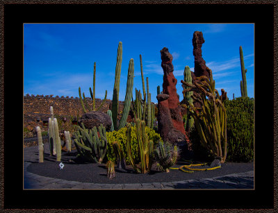 JARDIN DE CACTUS, LANZAROTE