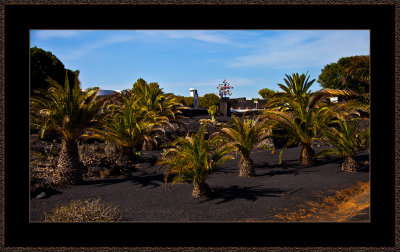 153-=-IMG_6039-=-From-Fundacion-Cecar-Manrique.jpg