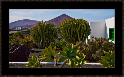 154-=-IMG_6041=--From-Fundacion-Cecar-Manrique.jpg
