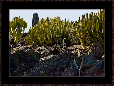 157-=-IMG_6045-=-From-Fudacion-Cecar-Manrique.jpg