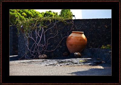 169-=-IMG_6068-=-From-Fundacion-Cecar-Manrique.jpg