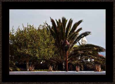 170-=-IMG_6069-=-From-Fundacion-Cecar-Manrique.jpg