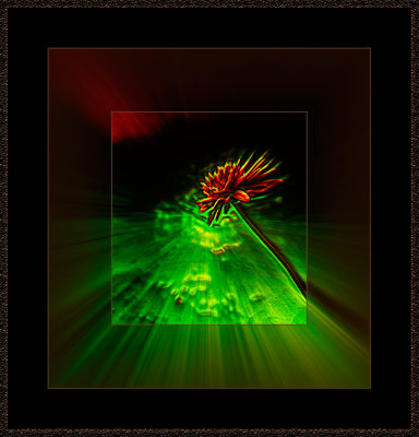 f.o.m.-Sandbox-1297.jpg