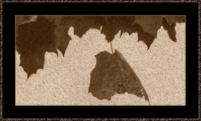 f.o.m.-Sandbox-1332.jpg