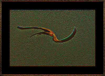 f.o.m.-Sandbox-1371.jpg