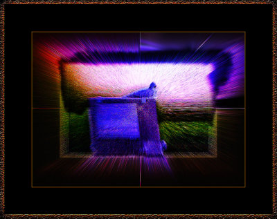 f.o.m.-Sandbox-1379.jpg