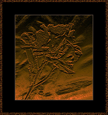f.o.m.-Sandbox-1380.jpg