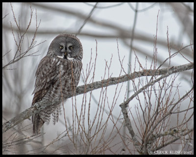 _DSC7774-800.jpg