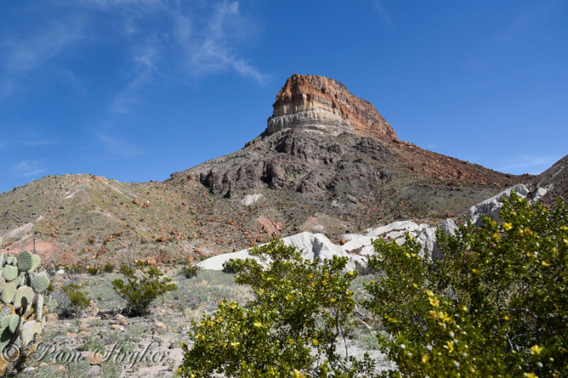 pStryker-BigBend_1088.jpg