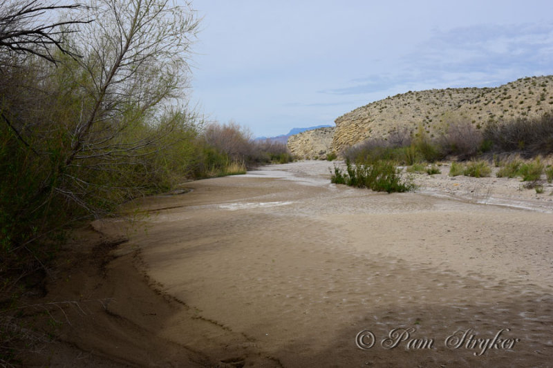 pStryker-BigBend_1329.jpg