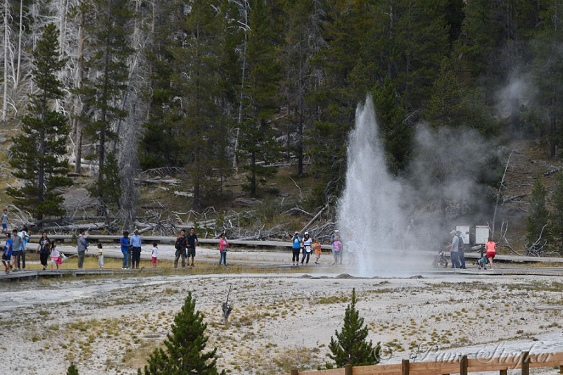 pStryker-yellowstone-geyser_0263.jpg