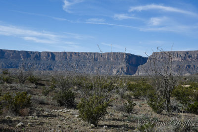 pStryker-BigBend_0884.jpg