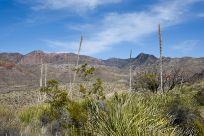 pStryker-BigBend_1170.jpg