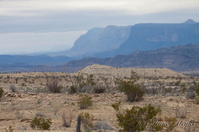 pStryker-BigBend_0238.jpg