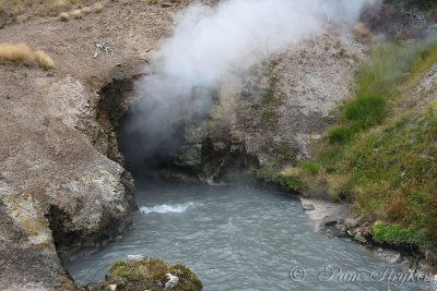 pStryker-yellowstone-dragons-mouth-spring_9938.jpg