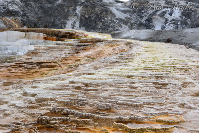 pStryker-yellowstone-mammoth-hot-springs_0426.jpg