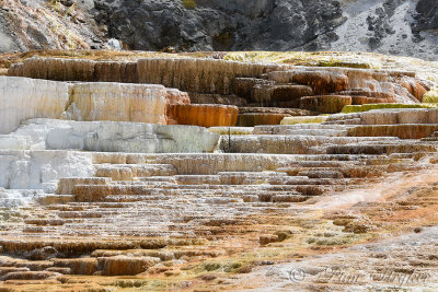 pStryker-yellowstone-mammoth-hot-springs_0429.jpg