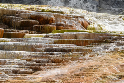 pStryker-yellowstone-mammoth-hot-springs_0430.jpg