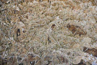 pStryker-yellowstone-mammoth-springs-closeup_0451.jpg