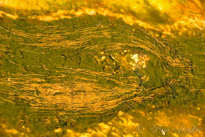 pStryker-yellowstone-microorganisms-abstract_0107.jpg