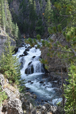 pStryker-yellowstone-river-falls_0394.jpg