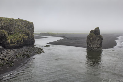 Vik, Black beach