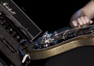 The  Golden  Guitar  of  Donna  Grantis