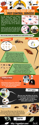 Reasons to Invest in a Good Pest Control New York Company