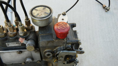 DSC07452.jpg