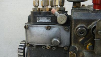 DSC07465.jpg