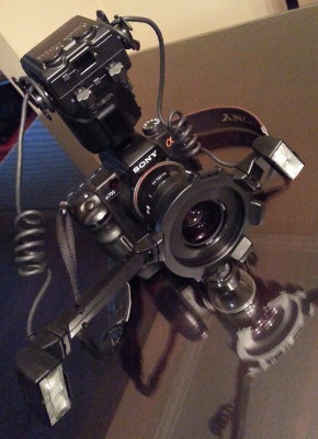 Sony DSLR w Ring Flash