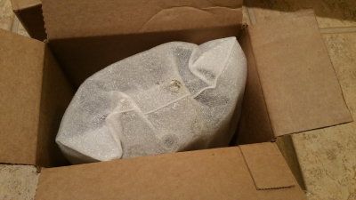 20160206_211303.jpg