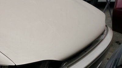 20160528_120208b.jpg