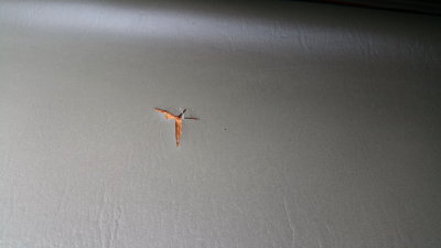20160612_111640a.jpg
