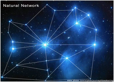 natural network.jpg