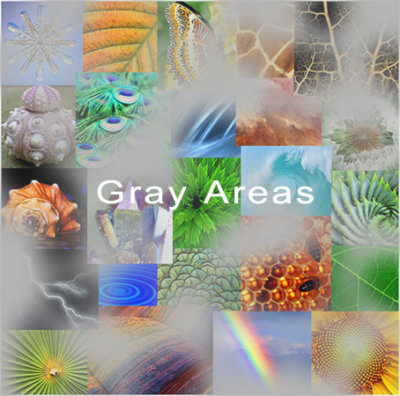 Gray Areas - Gray Aliens, Human Beings and the Earth