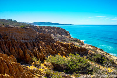 Torrey Pines State Reserve