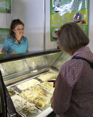 Choosing the best icecream