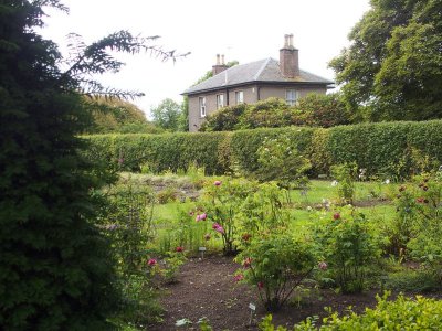 2420: Rose garden