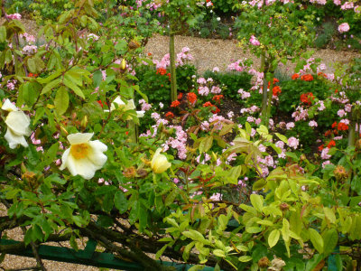 0228: Monet's garden