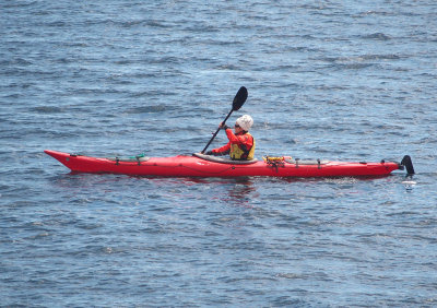 1423: Kayaker from our expedition