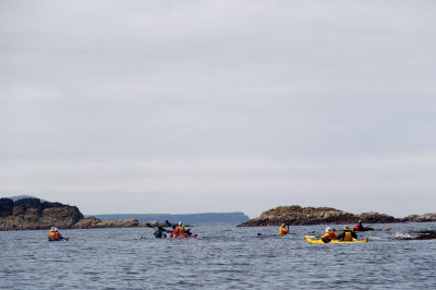 1428: Kayakers from our expedition
