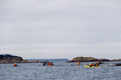 1428: Kayakers from our expedition