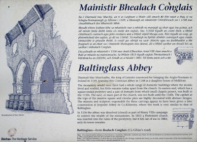 0305: Baltinglass Abbey