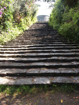Steps to Martello Tower