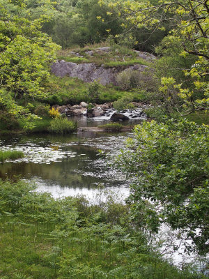 0701: Owenreagh River