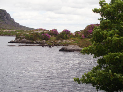Augher Lake