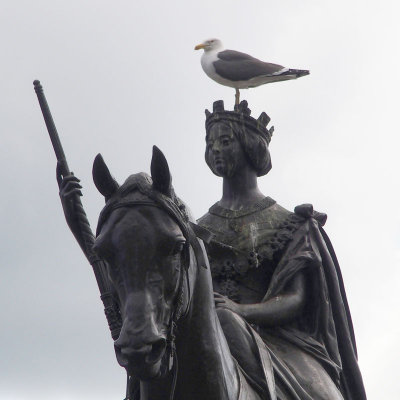 1057: Respectful seagull, and Queen Victoria