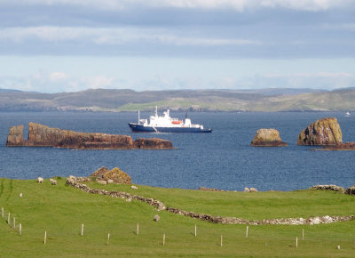 z6212013.jpg